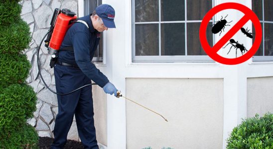 Çamlıhemşin Bit İlaçlama böcek ilaçlama ve haşere kontrolü — ilaclama-tr.com